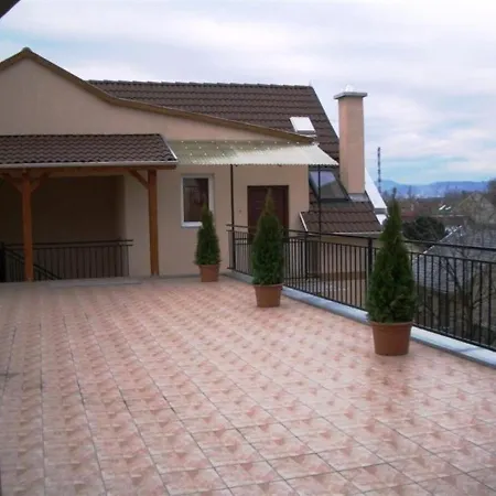 Szentmihalyi 22 Apartman בודפשט